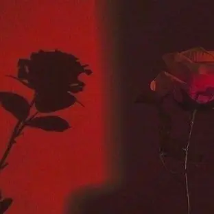 Profile image of 플래그