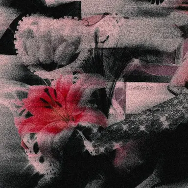 Profile image of 곽보성