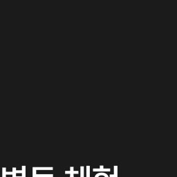스위스 치즈