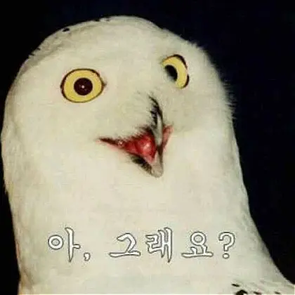 SlowTower6353의 세정태세문단세