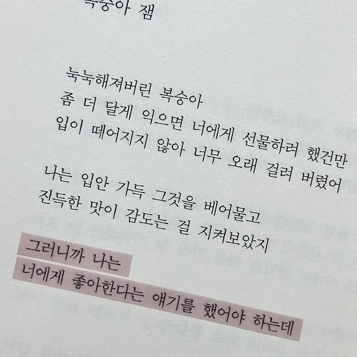 1_901의 桃ジャム。