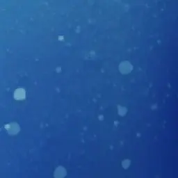 Profile image of ももか