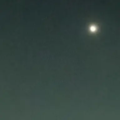 Profile image of 生徒