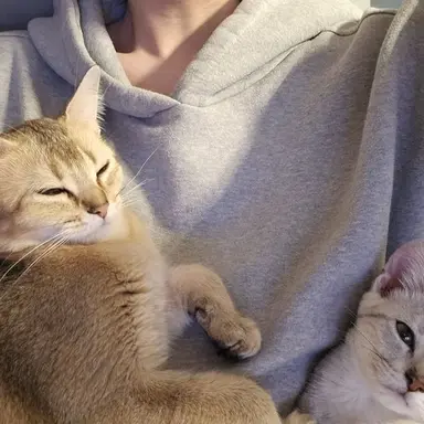 Profile image of 감제이