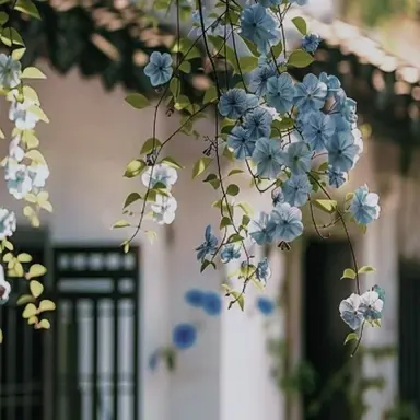 Profile image of 잠뜰