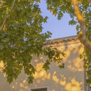 Profile image of 각별