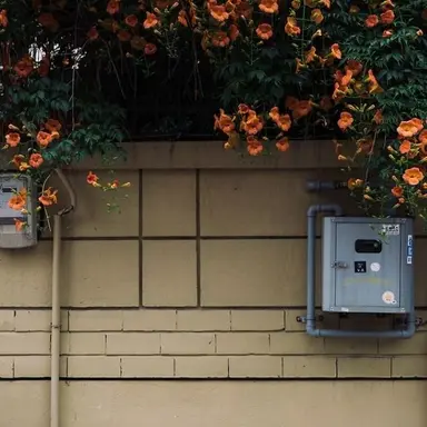 Profile image of 덕개