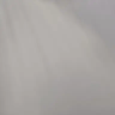 Profile image of 각별