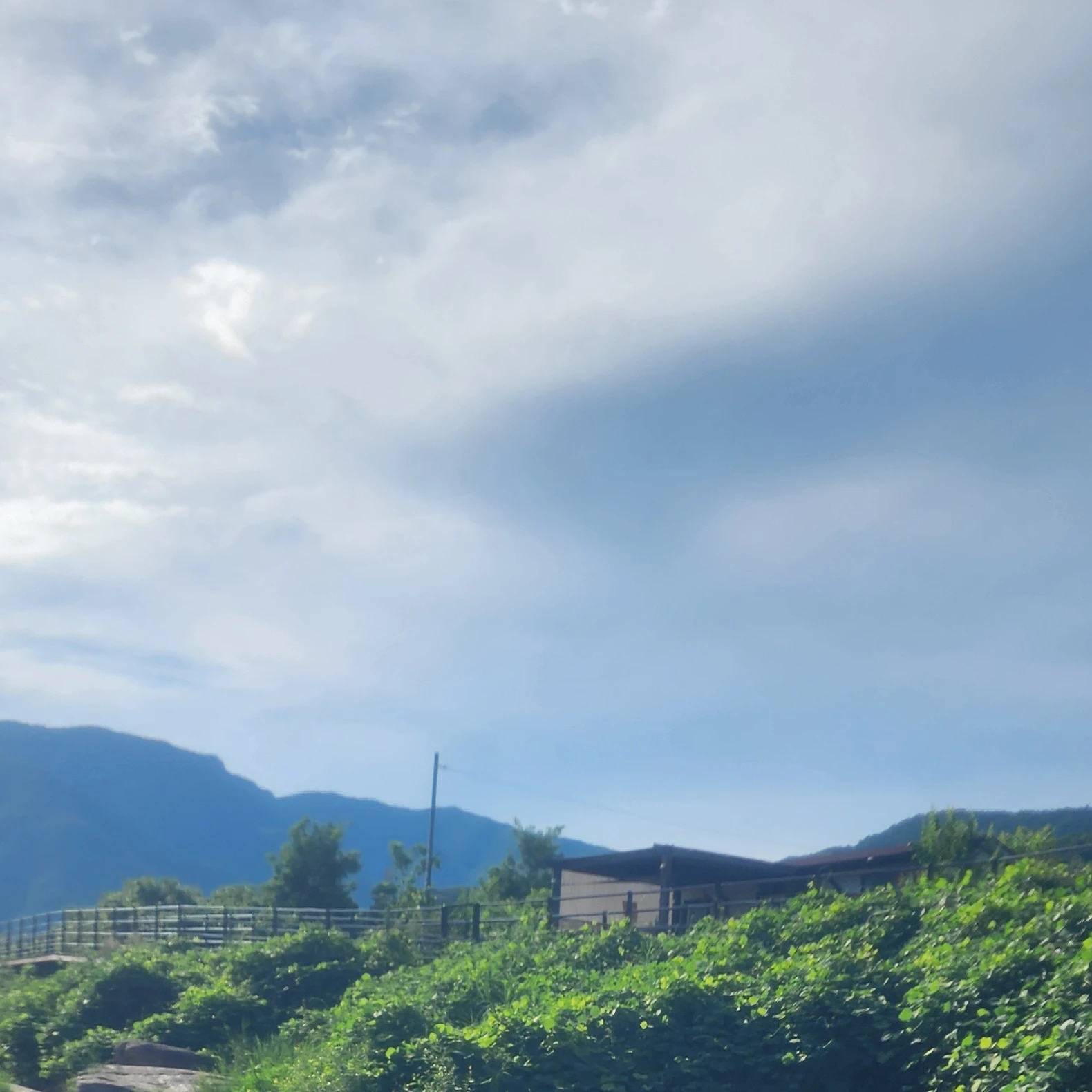 리레볼루션