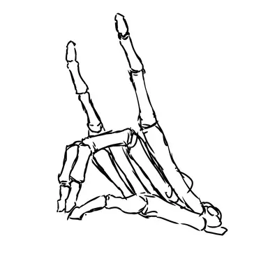 Profile image of 茶髄