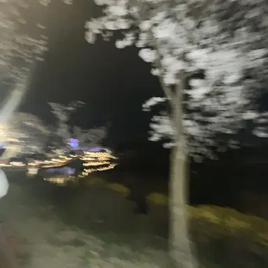 Profile image of 꽥