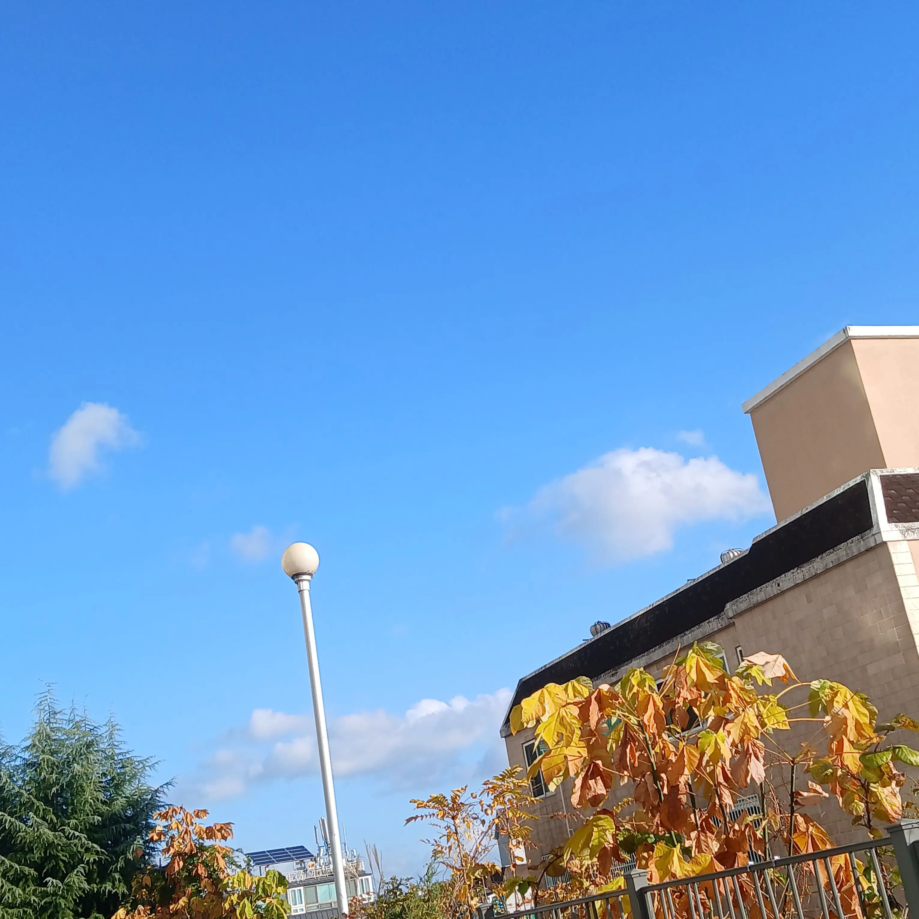 FolksyChime3893의 유저 미수반 공경사