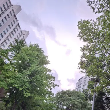 Profile image of 먀먀