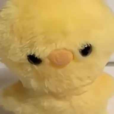 Profile image of 오리쨩