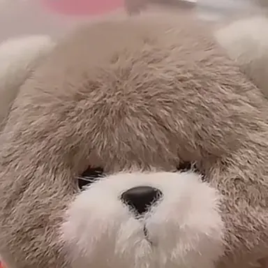 Profile image of 곰돌쨩