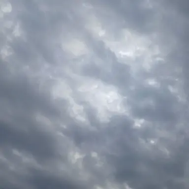 Profile image of 메라 요쿠미루