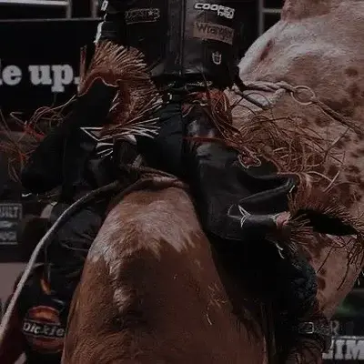 PrimalFrost2169의 COUNTRY Bull Rider