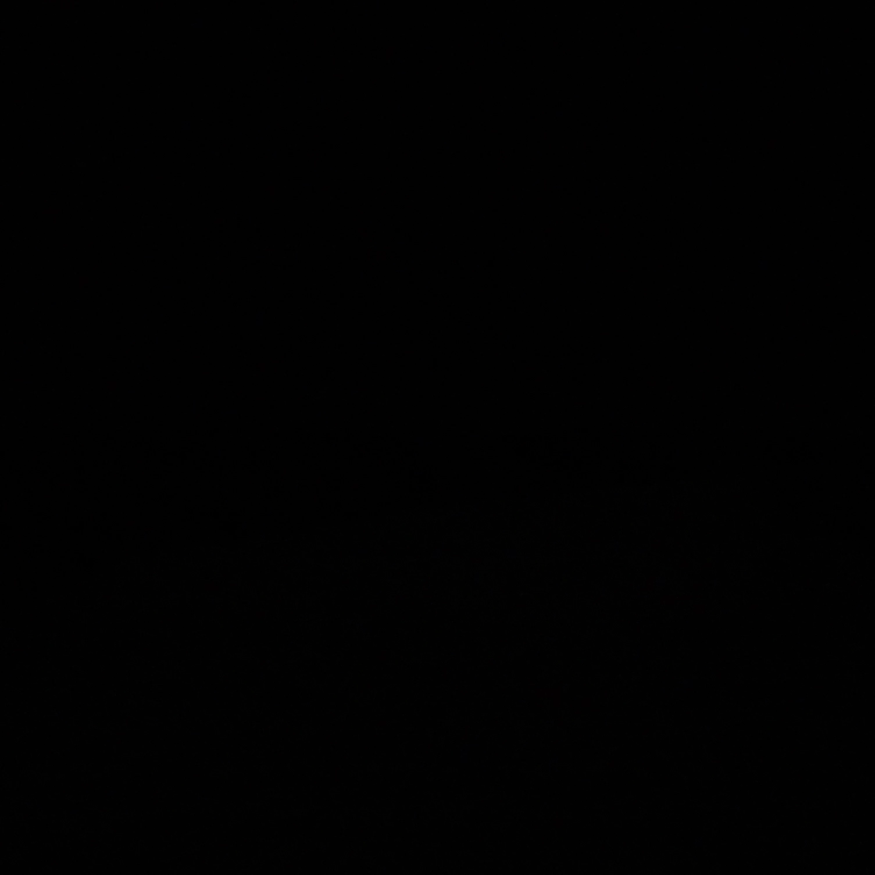 장한음
