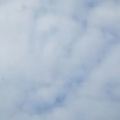 Profile image of 채스터