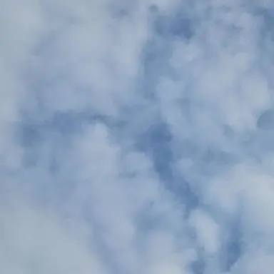 Profile image of 꽥