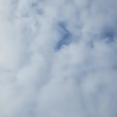 Profile image of 곰숭