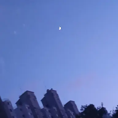 Profile image of 시윤