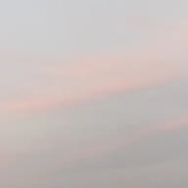 Profile image of 설윤아