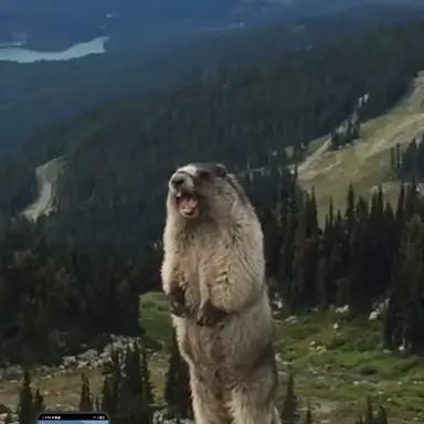 Profile image of 이시현