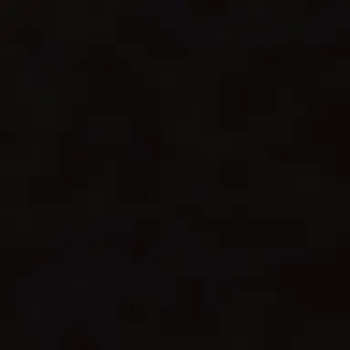 Profile image of 김주하