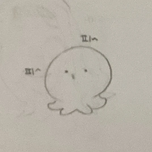 타코피