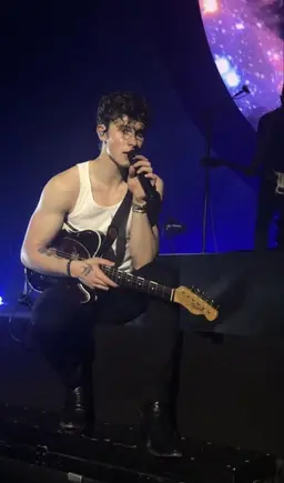 Profile image of Shawn Mendes
