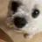 슈크림