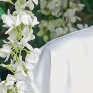 Profile image of 신광일