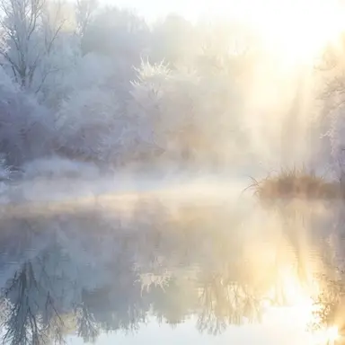 Profile image of 花語白