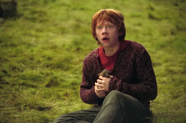Profile image of Ron weasley