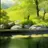 怪しい銭湯