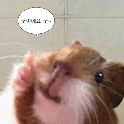 끝말 있기 대회