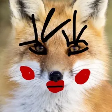 Profile image of Fox