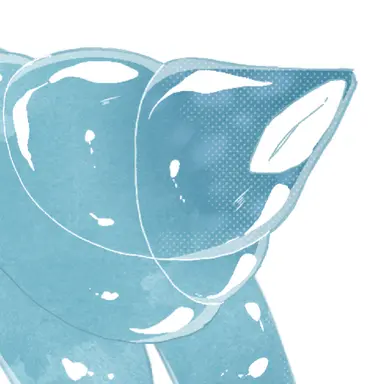 Profile image of ホイップ