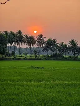 Profile image of Vetrimaaran