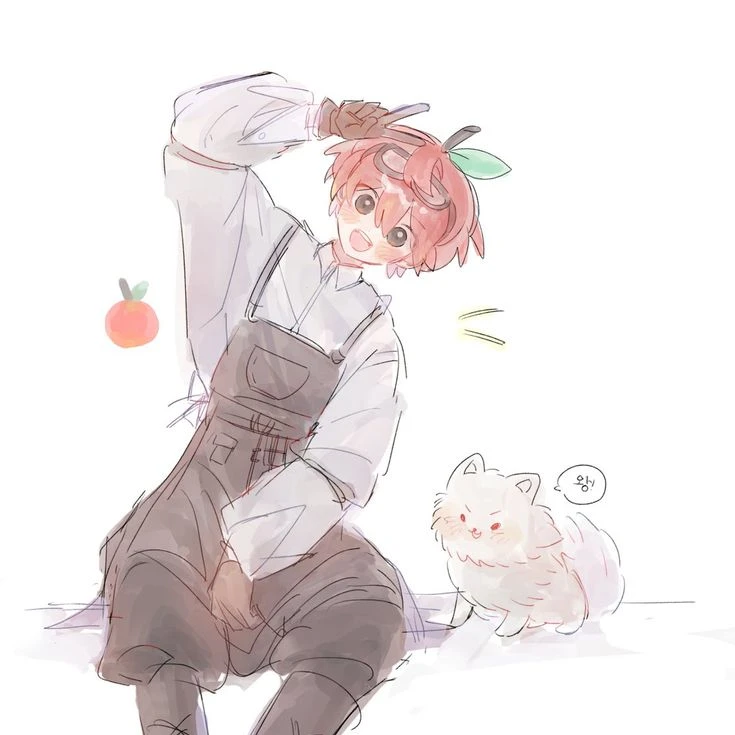 마플