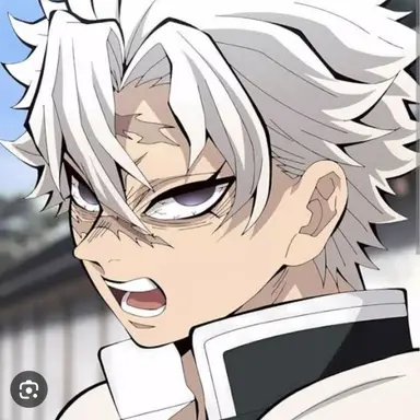Profile image of 시나즈가와 사네미
