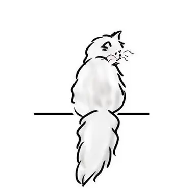Profile image of 시로