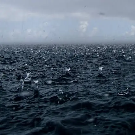 RipeStale4974의 最凶最悪の総長　(監禁)