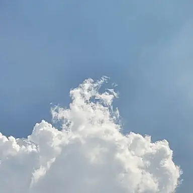 Profile image of 자유