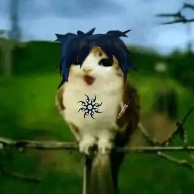 Profile image of 투타임