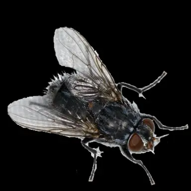 Profile image of リル・モティス