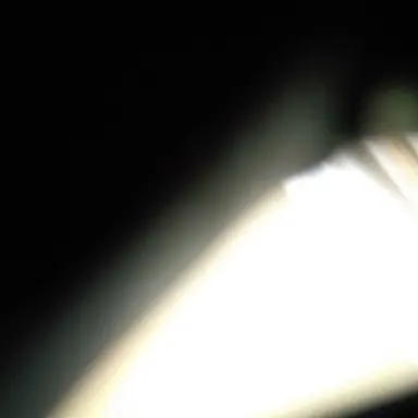 Profile image of pwiwhu