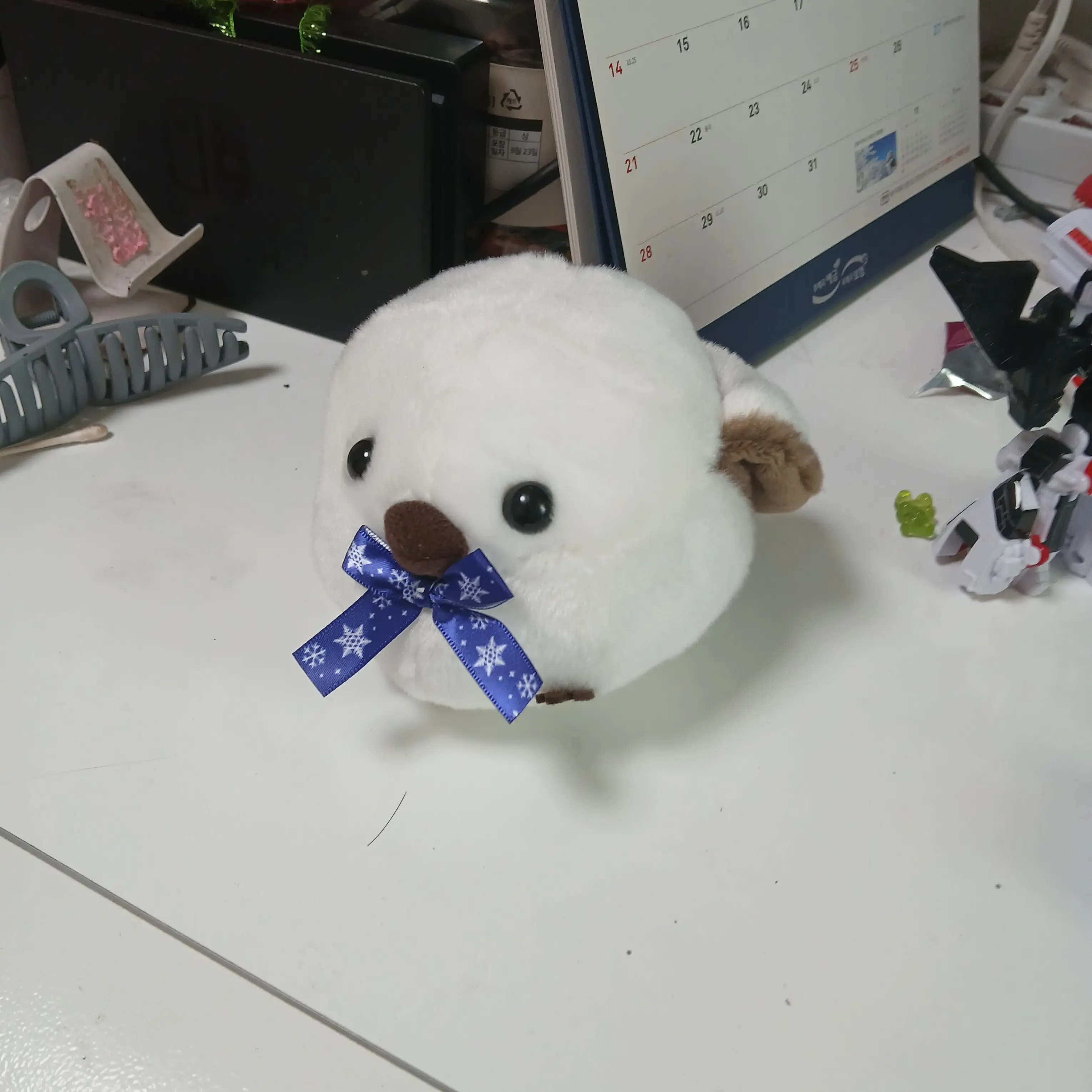 Jester_jester의 동거 한다~