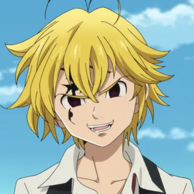 Profile image of メリオダス